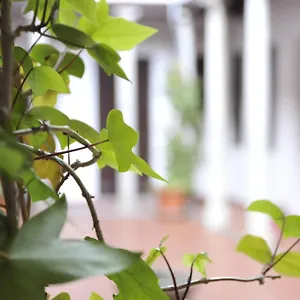 Adanar-las Columnas Appartamento